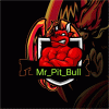 Mr_Pit_Bull